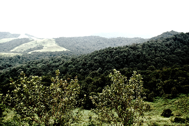 Western Ghats