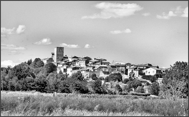 Moussac (30) 23 juillet 2010.