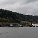 Portland St Johns bridge (#0494)