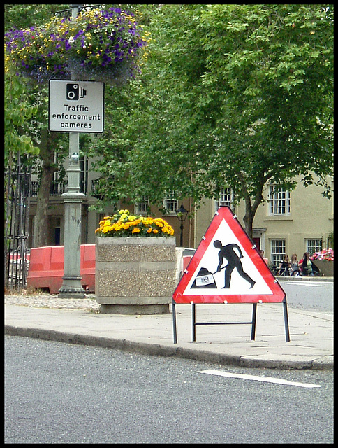 dig those blooming signs