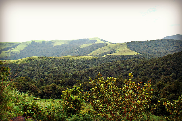 Western Ghats