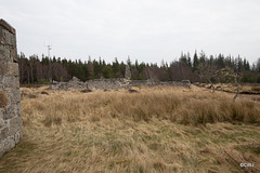 The ruins of the old croft at Dusach (NH 99595 45965)