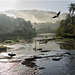 Periyar River at Dawn