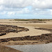 driftwood driftwood