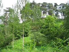 The Knolls near Rindleford