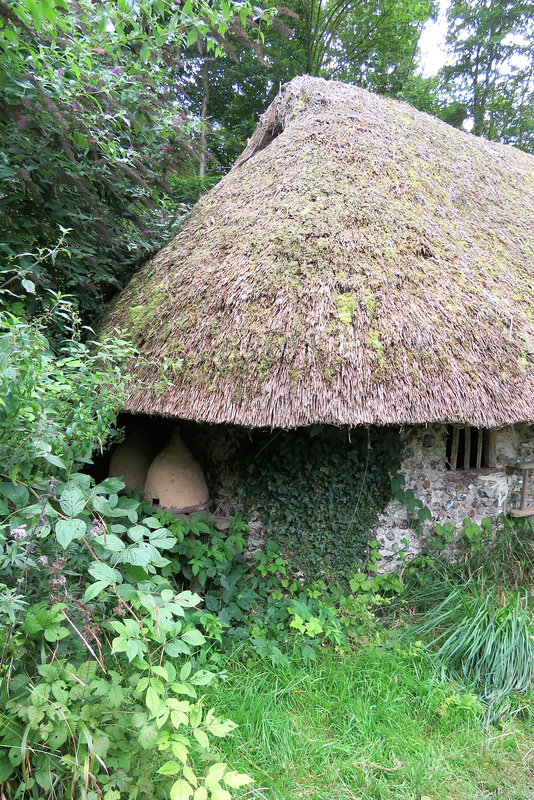 weald and downland museum, sussex