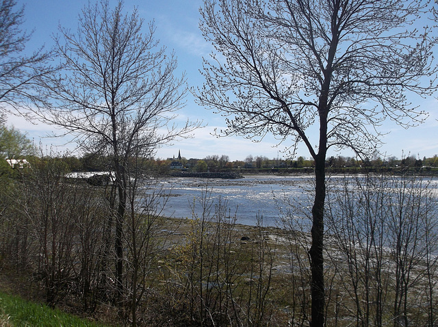 Paradis bleu pour oies / Blue geese paradise