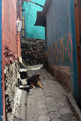 Guatemala, Narrow Street in the Village of Santa Catarina Palopo