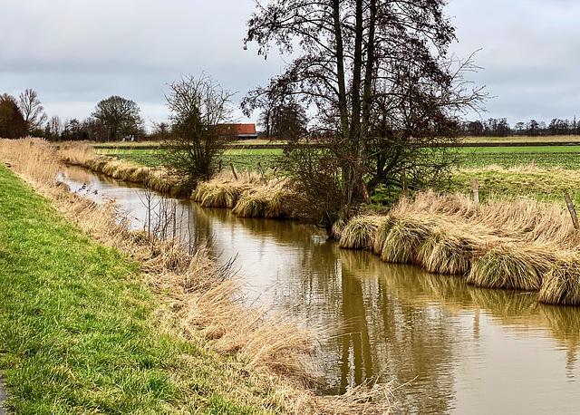 Land an der Nordsee