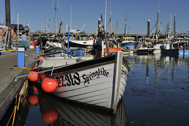 HFF from Newlyn