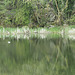 Tranquil cruise