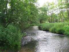 The River Worfe near The Knolls looking towards Rindleford