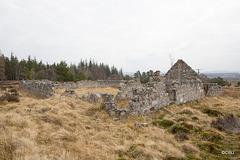 The ruins of the old croft at Dusach (NH 99595 45965)