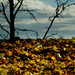 Blick über den Rand der Welt Blick über den Rand der Welt
