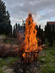 HFF der Baum brennt ;))