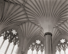 Fan Vaulting, Chapter House, Wells