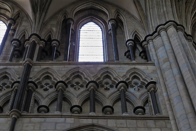 beverley minster, yorks