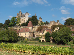 Vitrac (24) Château de Montfort. Août 2007.