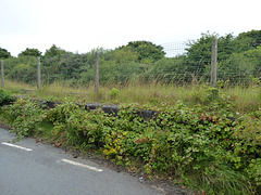 Chacewater Station (remains) [1] - 23 July 2020