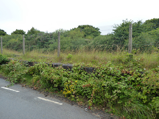 Chacewater Station (remains) [1] - 23 July 2020