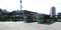Ipswich Buses garage yard - 5 May 2024 (P1180169)