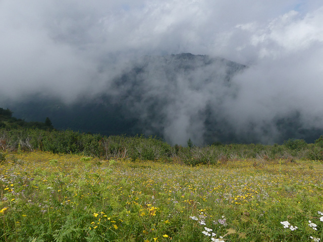 20240808 Rando le Trelot (Savoie) (5)