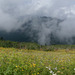 20240808 Rando le Trelot (Savoie) (5)