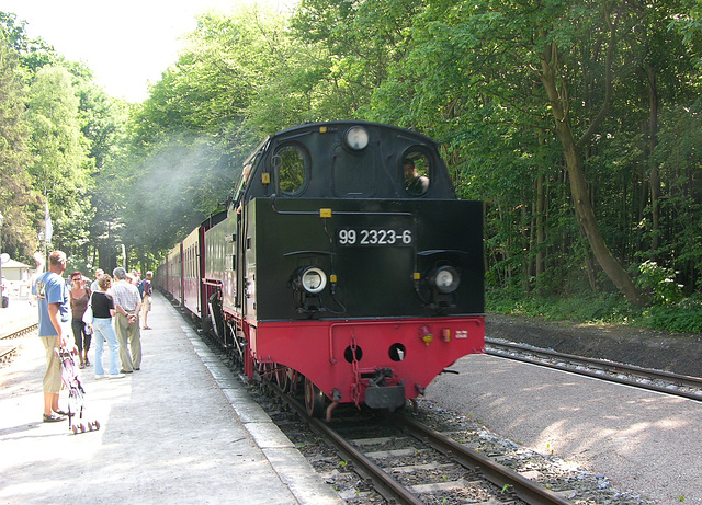 Molli am Bahnhof Heiligendamm