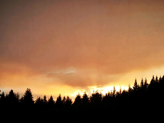 Hier soir, après l'orage [EXPLORER]