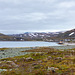 Syltefjord