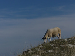 20250916 -19 Haut diois (Cascades Sapet - Valdrome) (97)