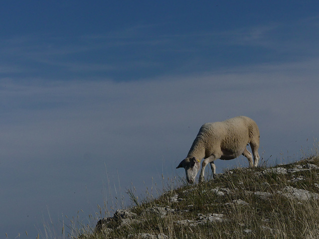 20250916 -19 Haut diois (Cascades Sapet - Valdrome) (97)