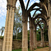 Ruines de l'église abbatiale d'Ourscamp - Oise