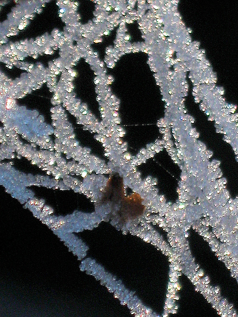 Winterliche Spinnereien II