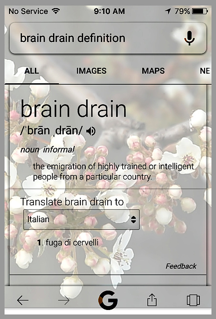 "Brain drain"