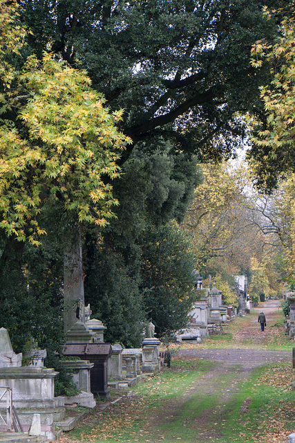 Lone visitor, Kensal Green Cemetery