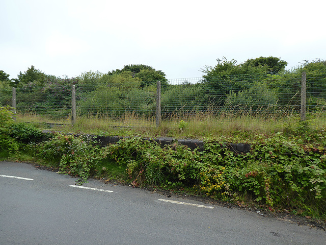 Chacewater Station (remains) [2] - 23 July 2020