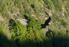 20250916 -19 Haut diois (Cascades Sapet - Valdrome) (101) rec