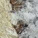 Splash below the weir on Shelf Brook