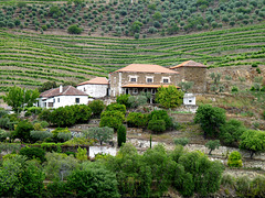 Quinta Near Vesuvio