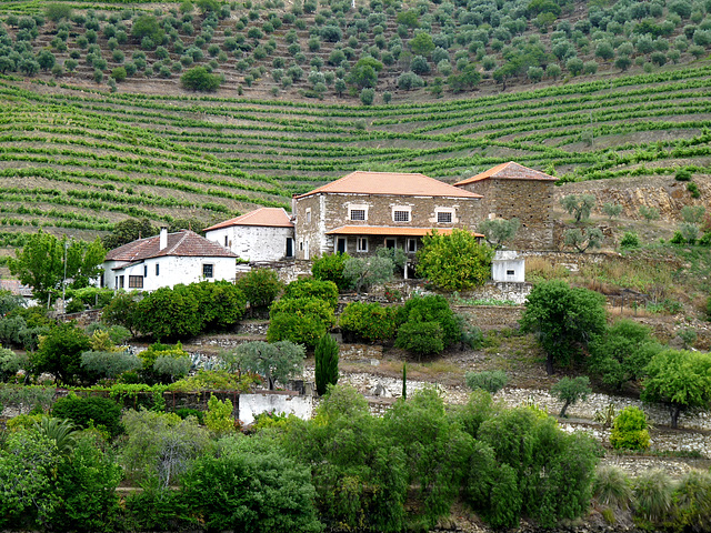 Quinta Near Vesuvio