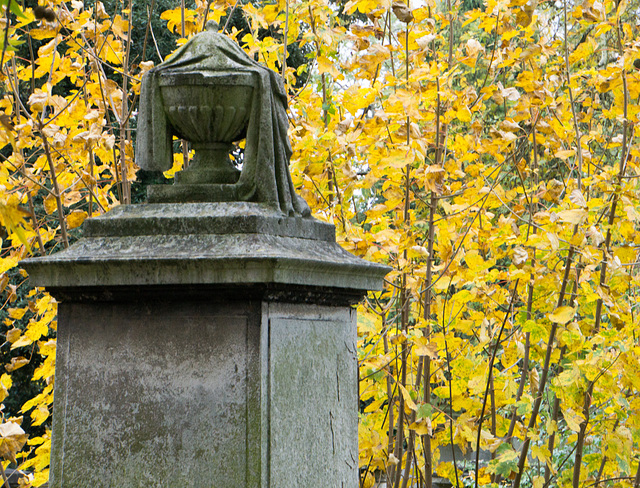 Autumn, Kensal Green Cemetery