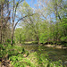 Looking across to an untouched part of park.