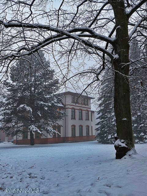 Wintermorgen auf dem Lewenberg