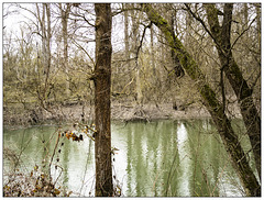 Der Rhein bei Brühl