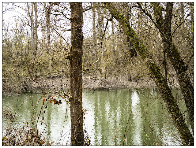 Der Rhein bei Brühl