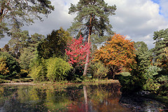 Certainement ma dernière photo de l'automne cette année .
