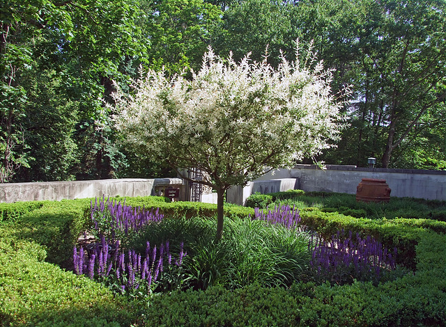 Garden in the Vanderbilt Museum, May 2011