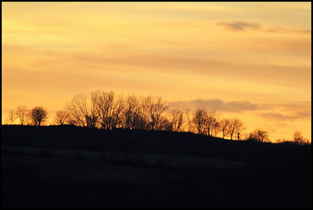 Ciel jaune , et bleu horizon