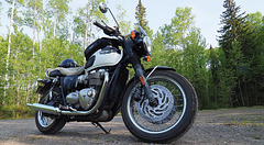 Triumph T120